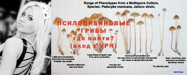 не бодяженный Остров